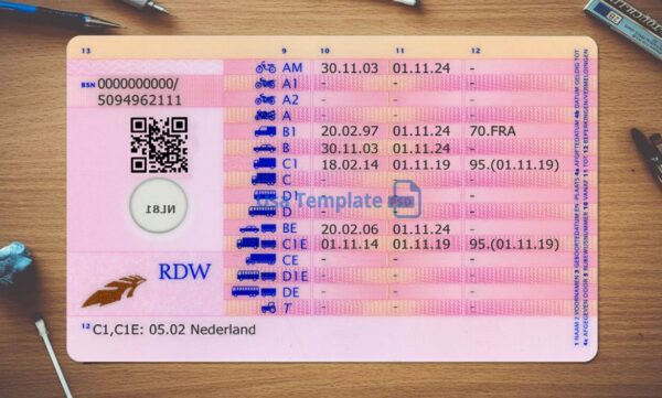 Netherlands Driving License Template PSD - Image 3