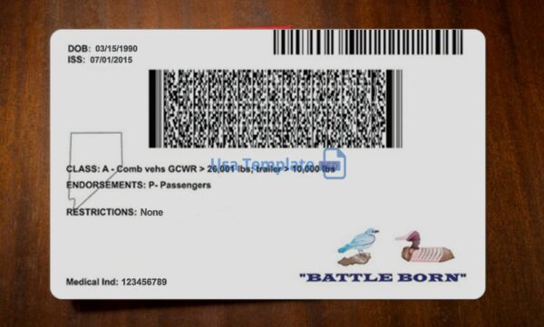 Nevada Driving License Template PSD - Image 5