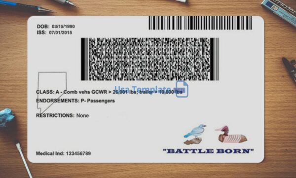 Nevada Driving License Template PSD - Image 4