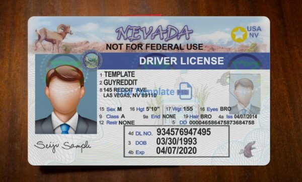 Nevada Driving License Template PSD - Image 3