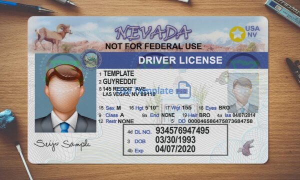Nevada Driving License Template PSD - Image 2