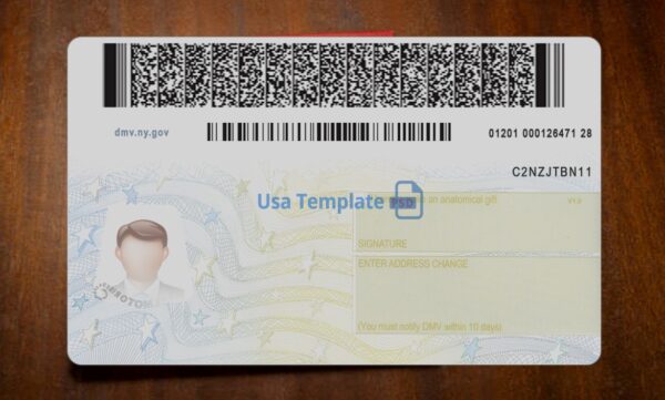 New York Driving License Template PSD - Image 5