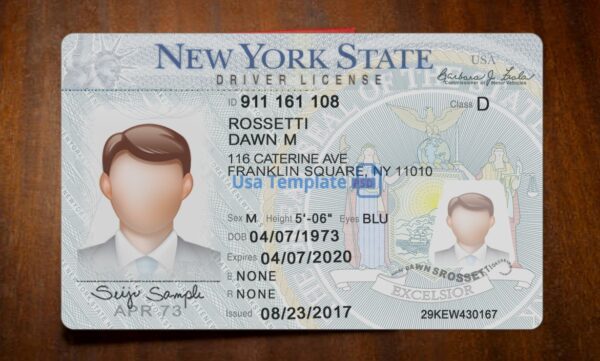 New York Driving License Template PSD - Image 3