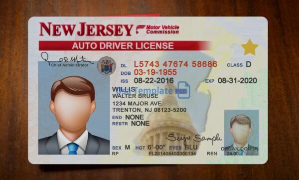 New Jersey Driving License Template PSD - Image 3
