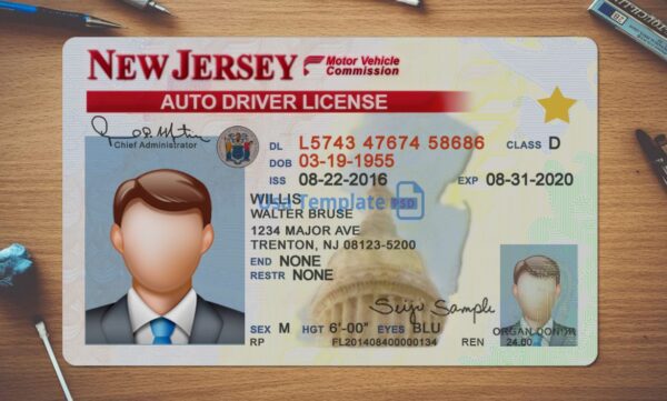 New Jersey Driving License Template PSD - Image 2