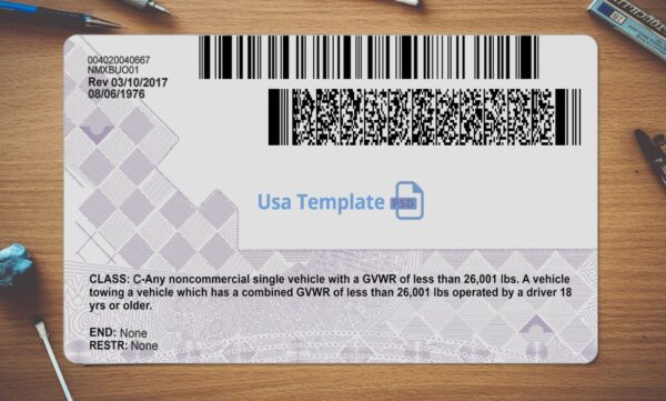 North Carolina Driving License Template PSD - Image 4