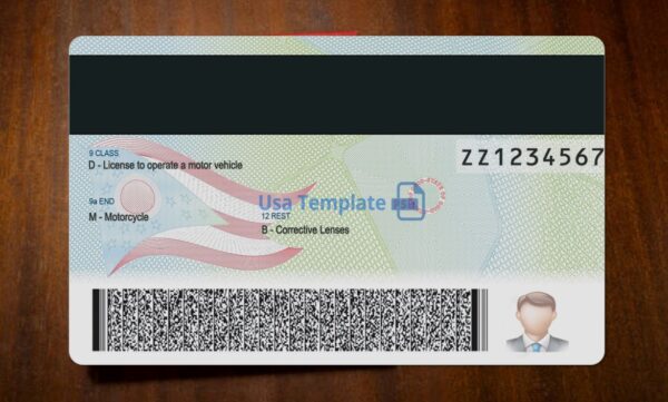 Ohio Driving License Template PSD - Image 5