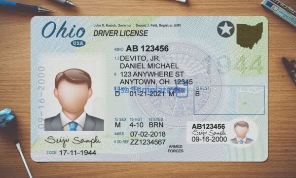 Ohio Driving License Template PSD - Image 2