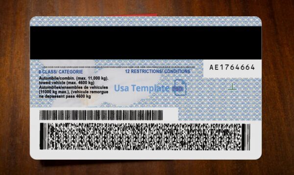 Ontario Driving License Template PSD - Image 5