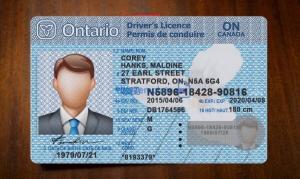 Ontario Driving License Template PSD - Image 3