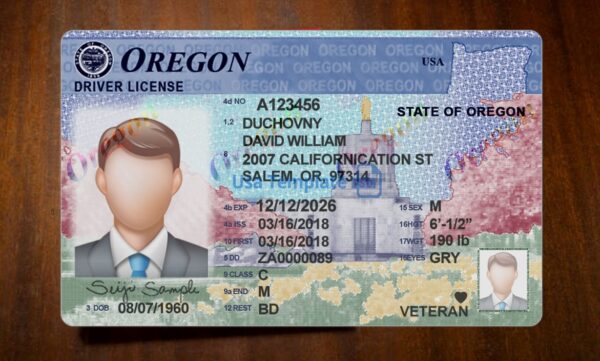 Oregon Driving License Template PSD - Image 3
