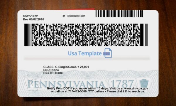 Pennsylvania Driving License Template PSD - Image 5