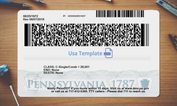 Pennsylvania Driving License Template PSD - Image 4