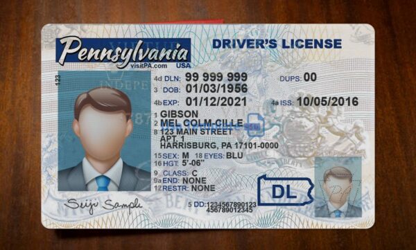 Pennsylvania Driving License Template PSD - Image 3