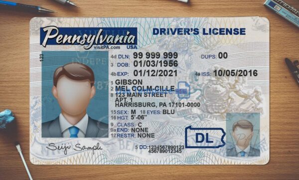 Pennsylvania Driving License Template PSD - Image 2