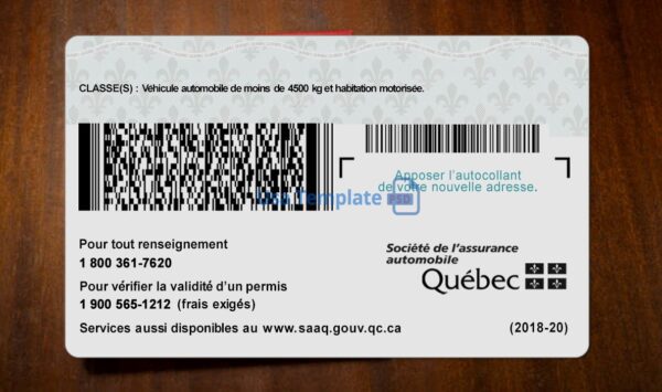 Quebec Driving License Template PSD - Image 4