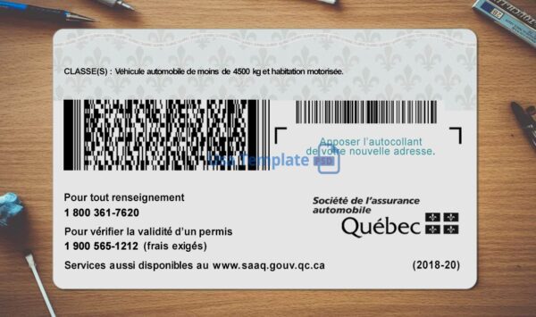 Quebec Driving License Template PSD - Image 5