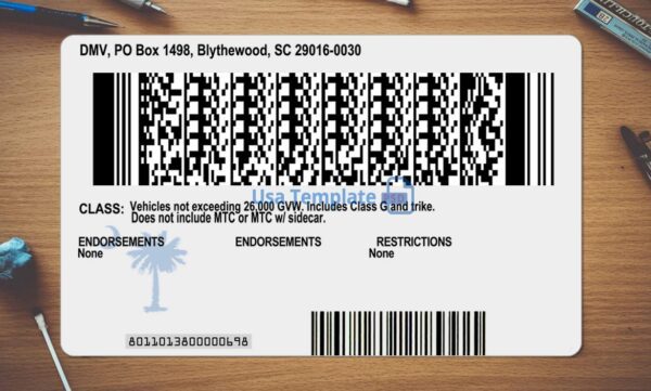 South Carolina Driving License Template PSD - Image 3