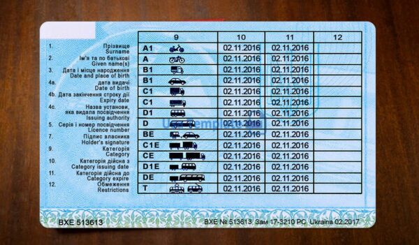 Ukraine Driving License Template PSD - Image 5