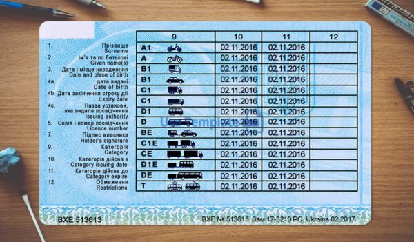 Ukraine Driving License Template PSD - Image 4