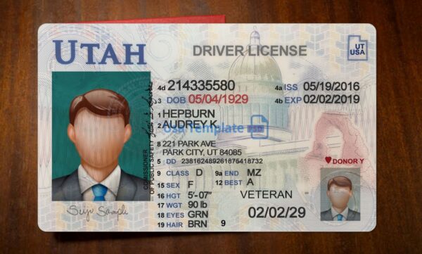 Utah Driving License Template PSD - Image 3
