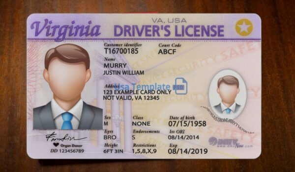 Virginia Driving License Template PSD (Copy) - Image 3