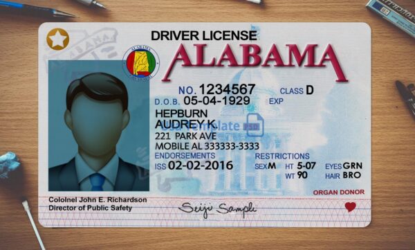Alabama Driving License Template PSD - Image 2