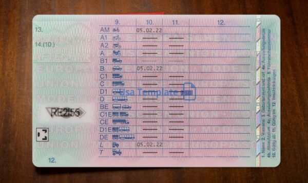 Germany Driving License Template PSD - Image 5