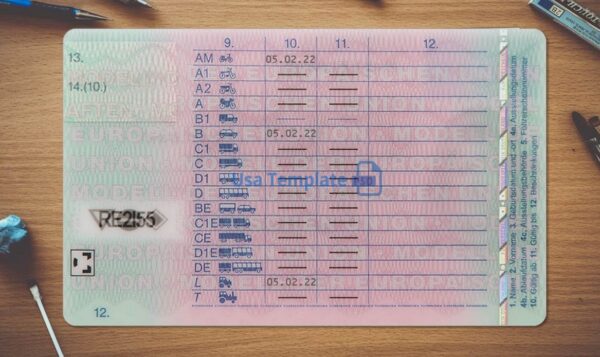 Germany Driving License Template PSD - Image 4