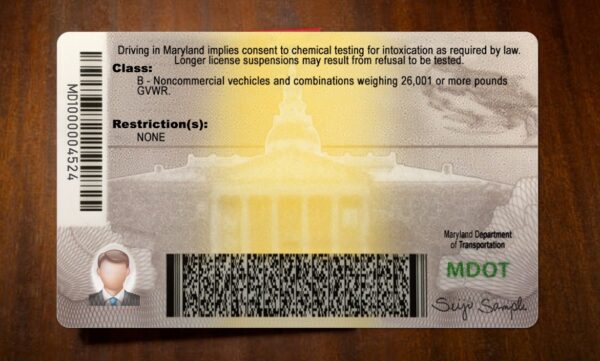Maryland Driving License Template PSD - Image 5