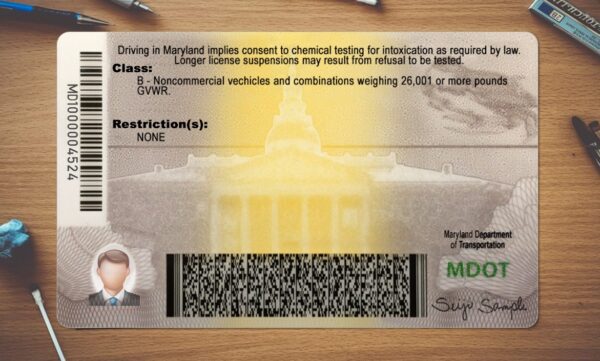 Maryland Driving License Template PSD - Image 4