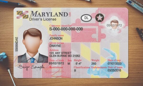 Maryland Driving License Template PSD - Image 3