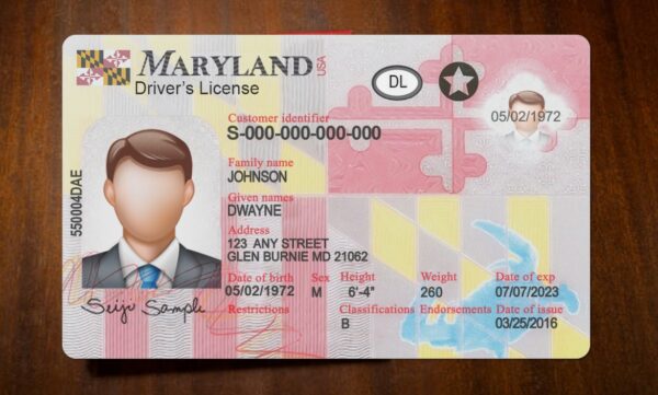 Maryland Driving License Template PSD - Image 2