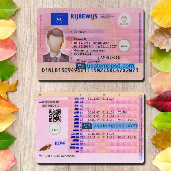 Netherlands Driving License Template PSD - Image 2
