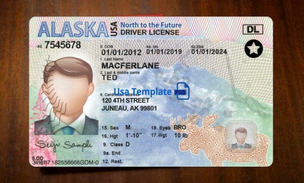 Alaska Driving License Template PSD - Image 3