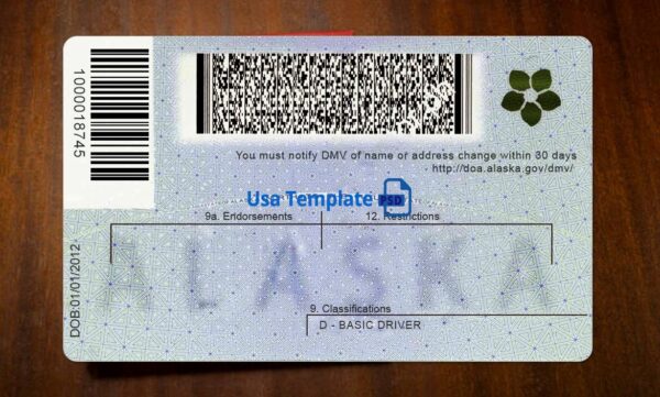 Alaska Driving License Template PSD - Image 5