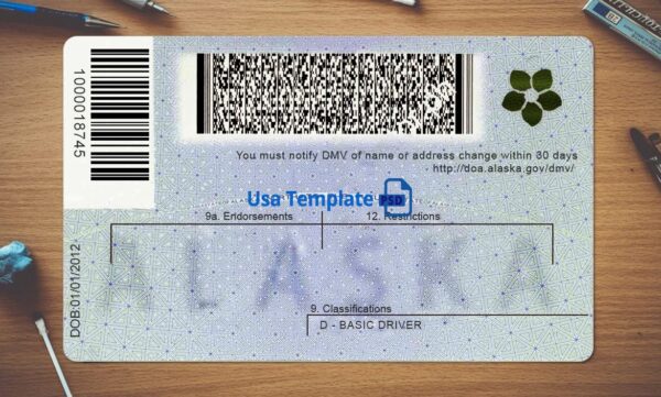 Alaska Driving License Template PSD - Image 4