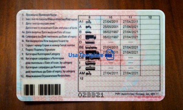 Belarus Driving License Template PSD - Image 5