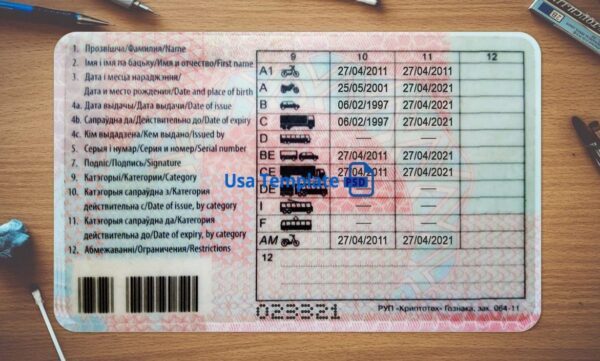 Belarus Driving License Template PSD - Image 4