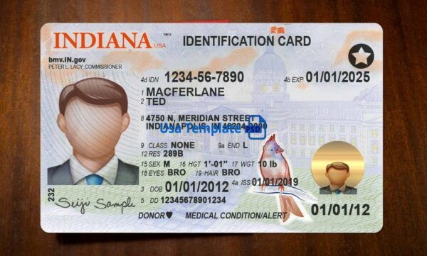 Indiana Driving License Template PSD - Image 3