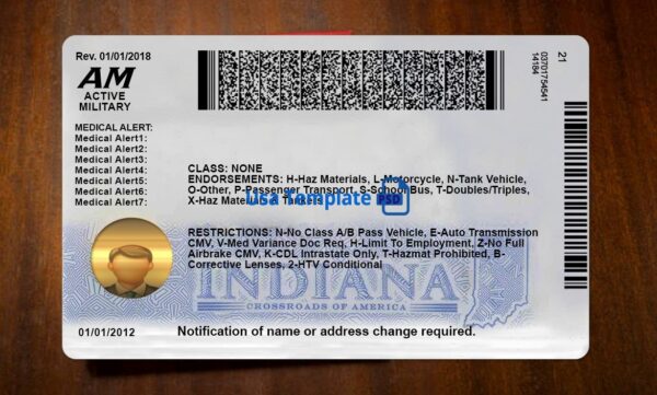 Indiana Driving License Template PSD - Image 4