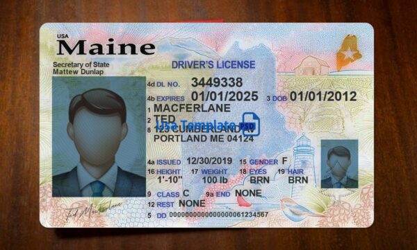 Maine Driving License Template PSD - Image 3