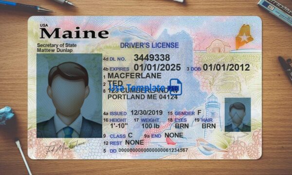 Maine Driving License Template PSD - Image 2