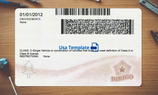 Maine Driving License Template PSD - Image 4