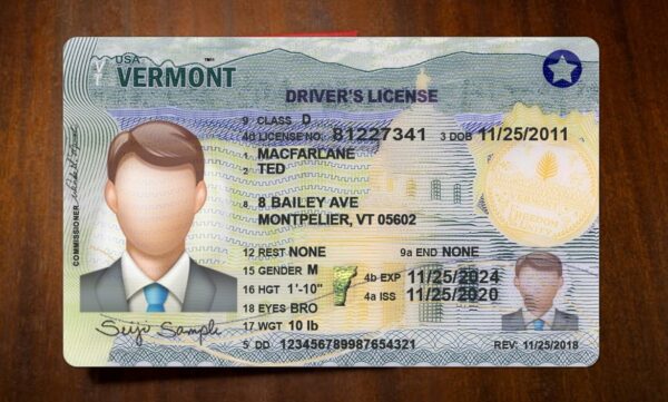 Vermont Driving License Template PSD - Image 3
