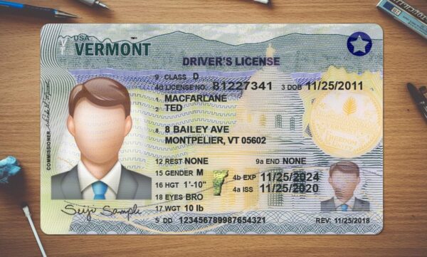 Vermont Driving License Template PSD - Image 2