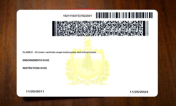 Vermont Driving License Template PSD - Image 5