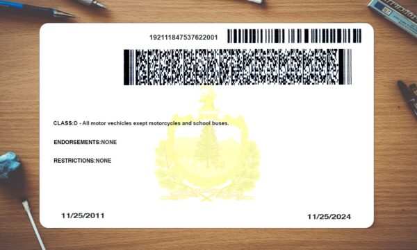 Vermont Driving License Template PSD - Image 4
