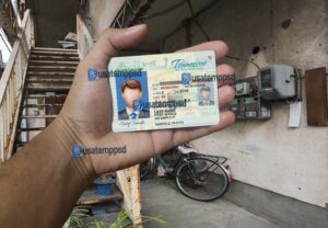 driving License Template PSD